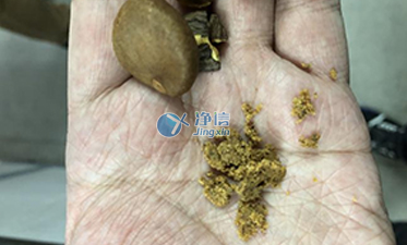 行星式球磨機(jī)解決山茶籽的研磨難題實(shí)驗(yàn) | 上海凈信